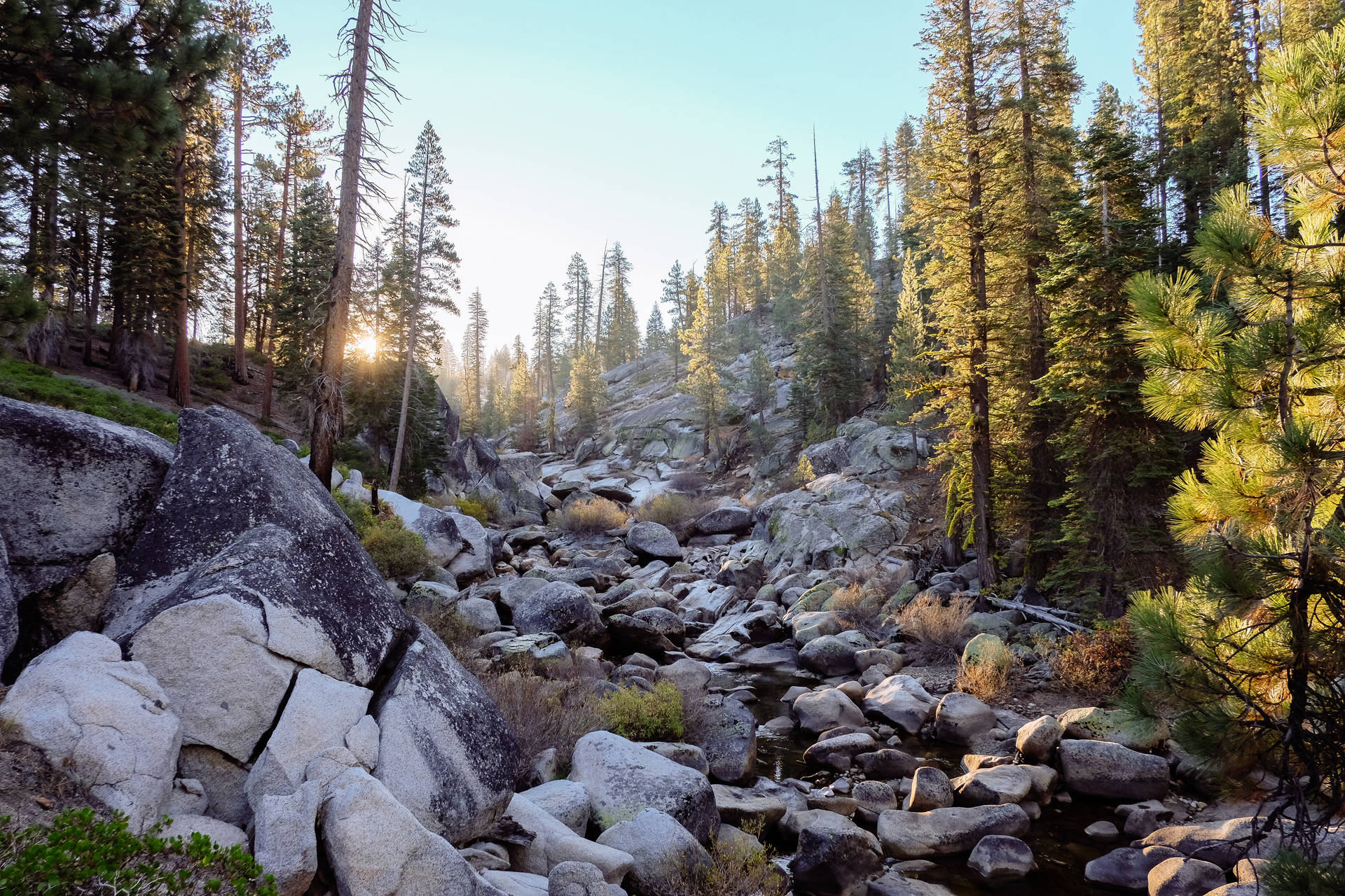 4k Autumn Yosemite National Park Background