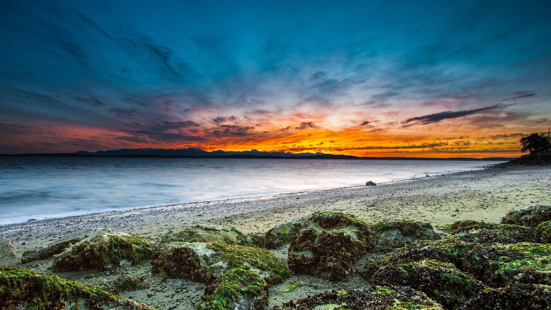 4k Beach Of Alkai Background