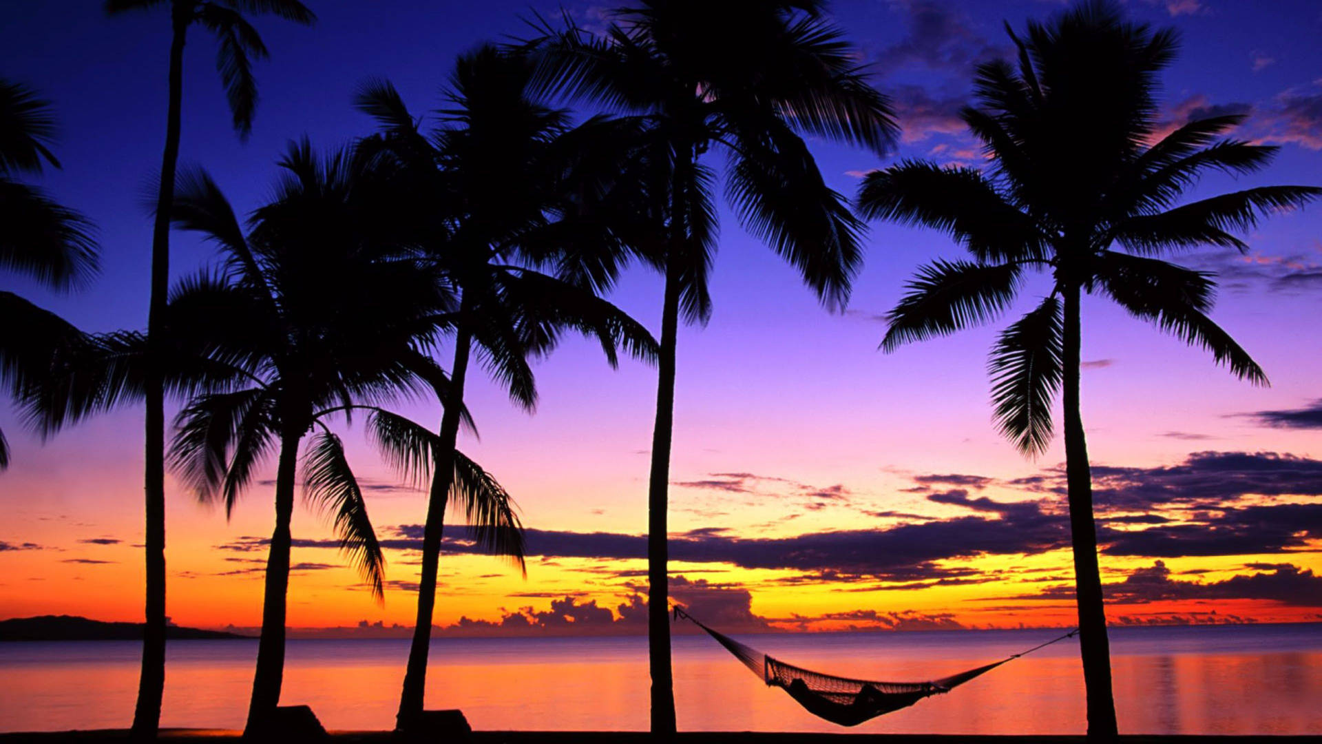 4k Beach With Trees In Dark Background