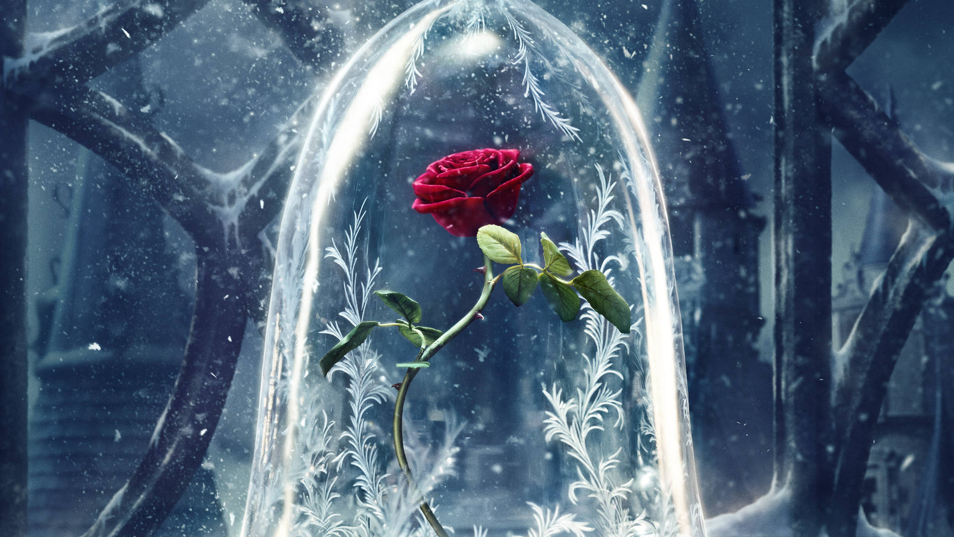4k Beauty And The Beast Icy Rose Background
