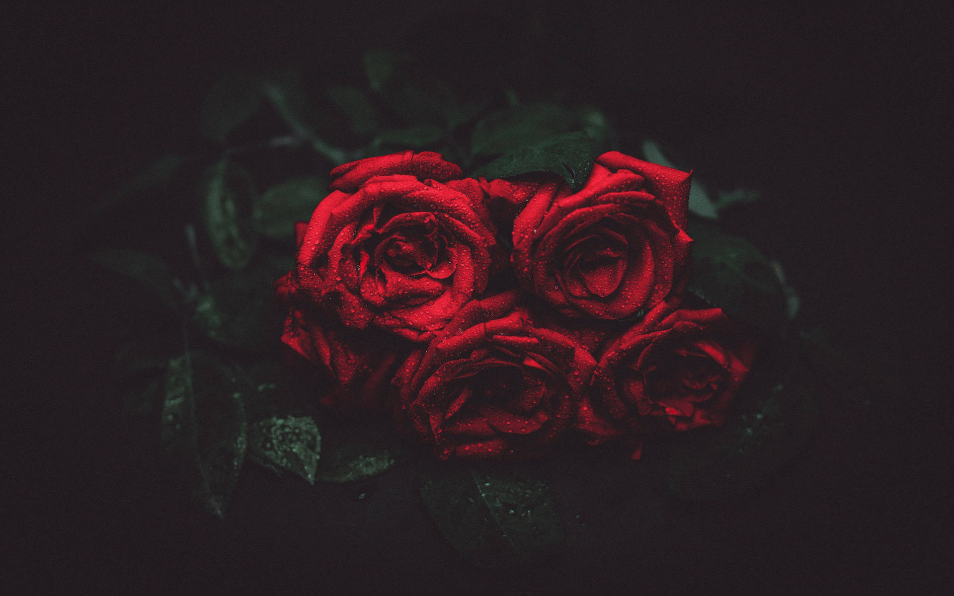 4k Bouquet Of Roses Background