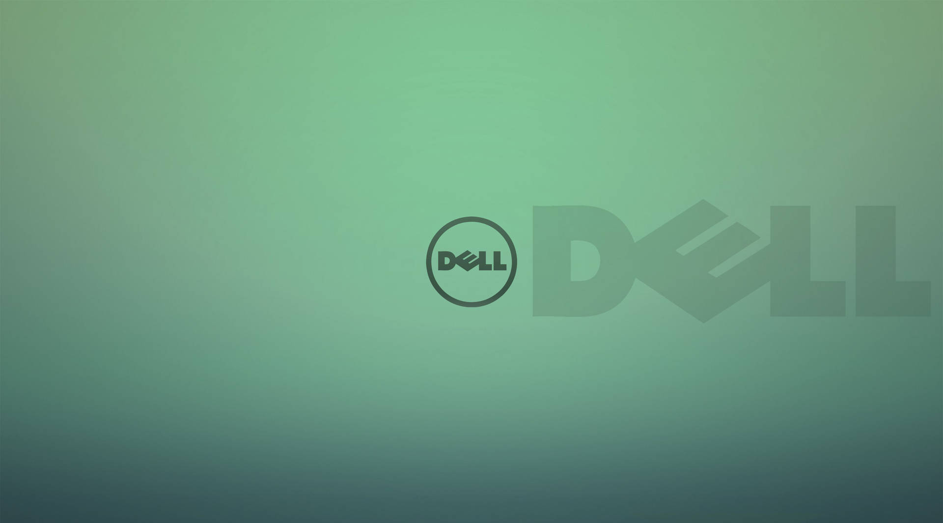 4k Dell Laptop Lid Case Background