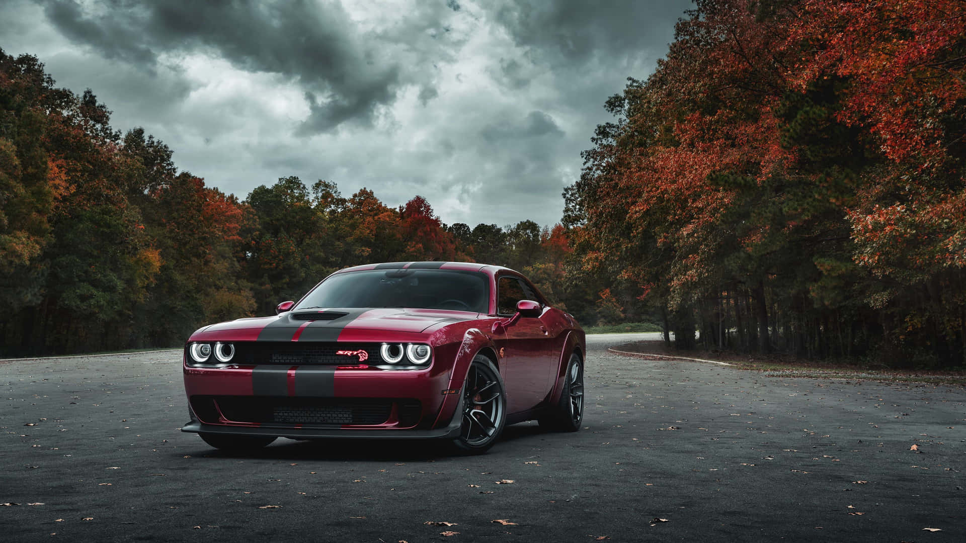 4k Dodge Hellcat At Forest Car Park Background
