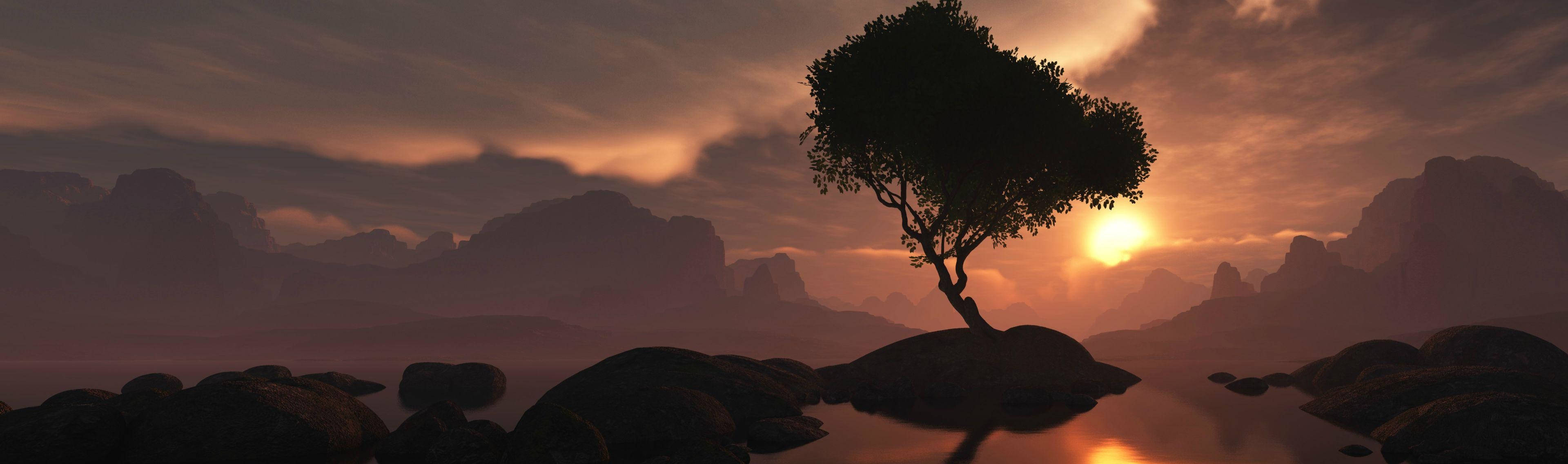 4k Dual Monitor Tree On Mountain Edge At Sunset Background