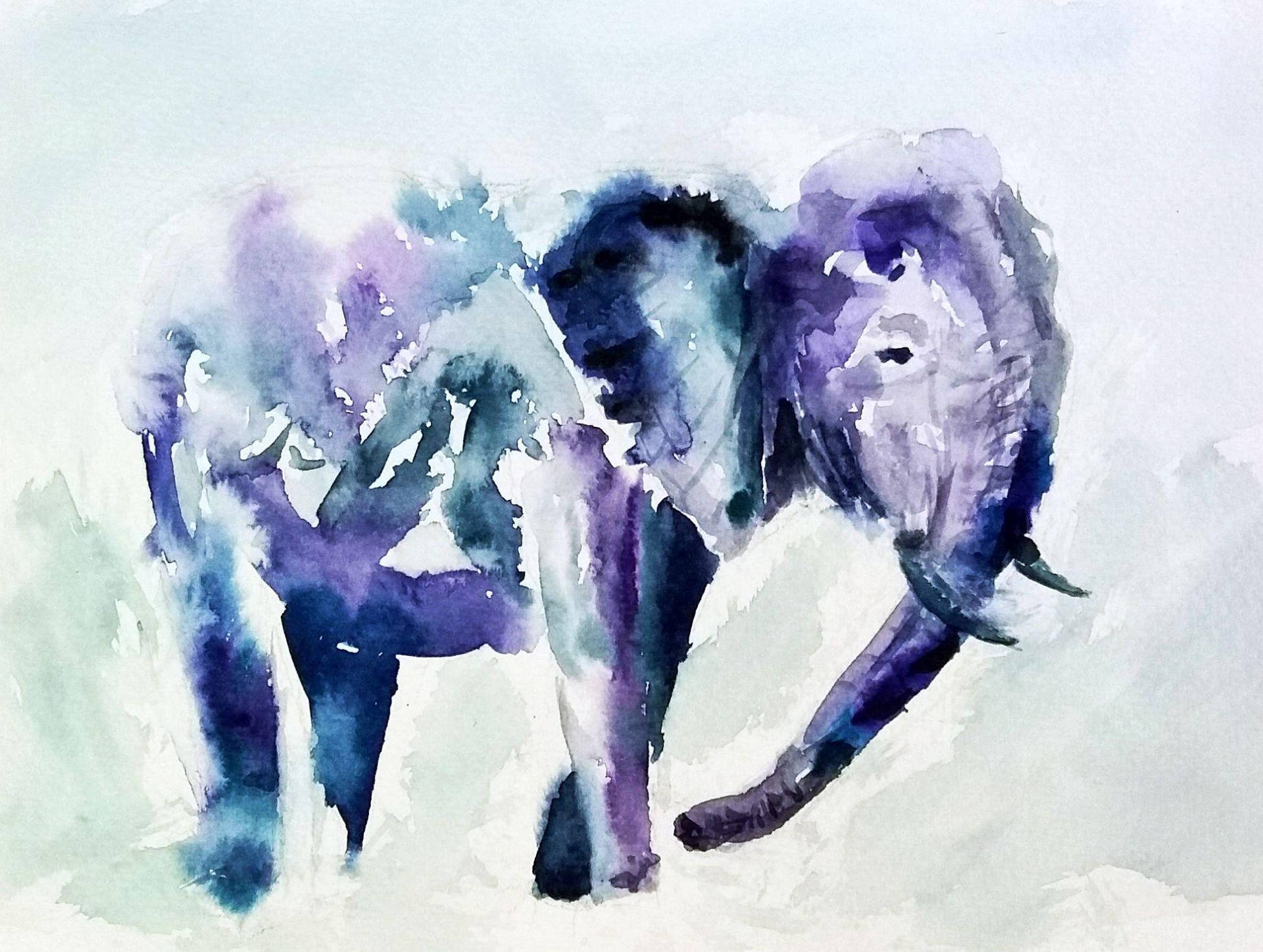 4k Elephant Watercolor Background