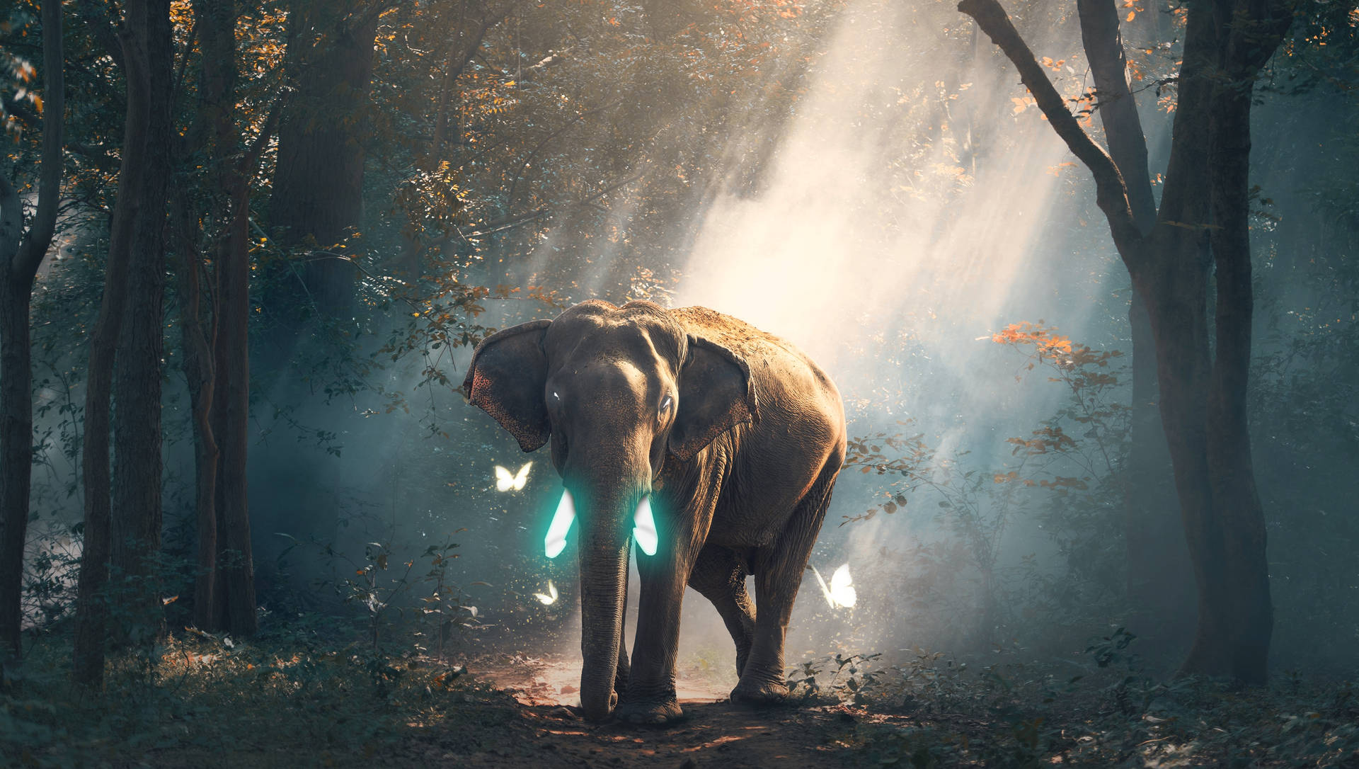 4k Elephant With Butterflies Background