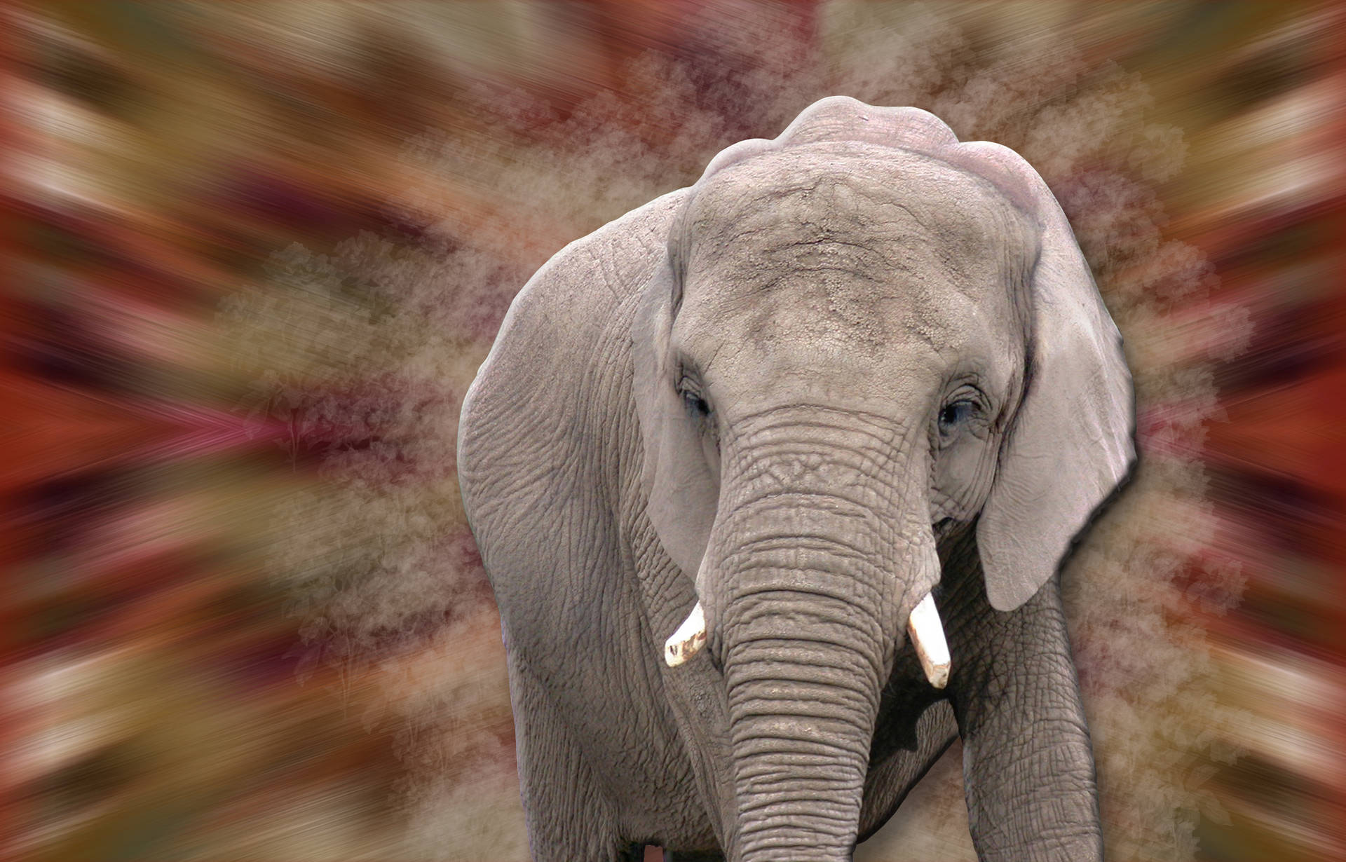 4k Elephant With Edits Background