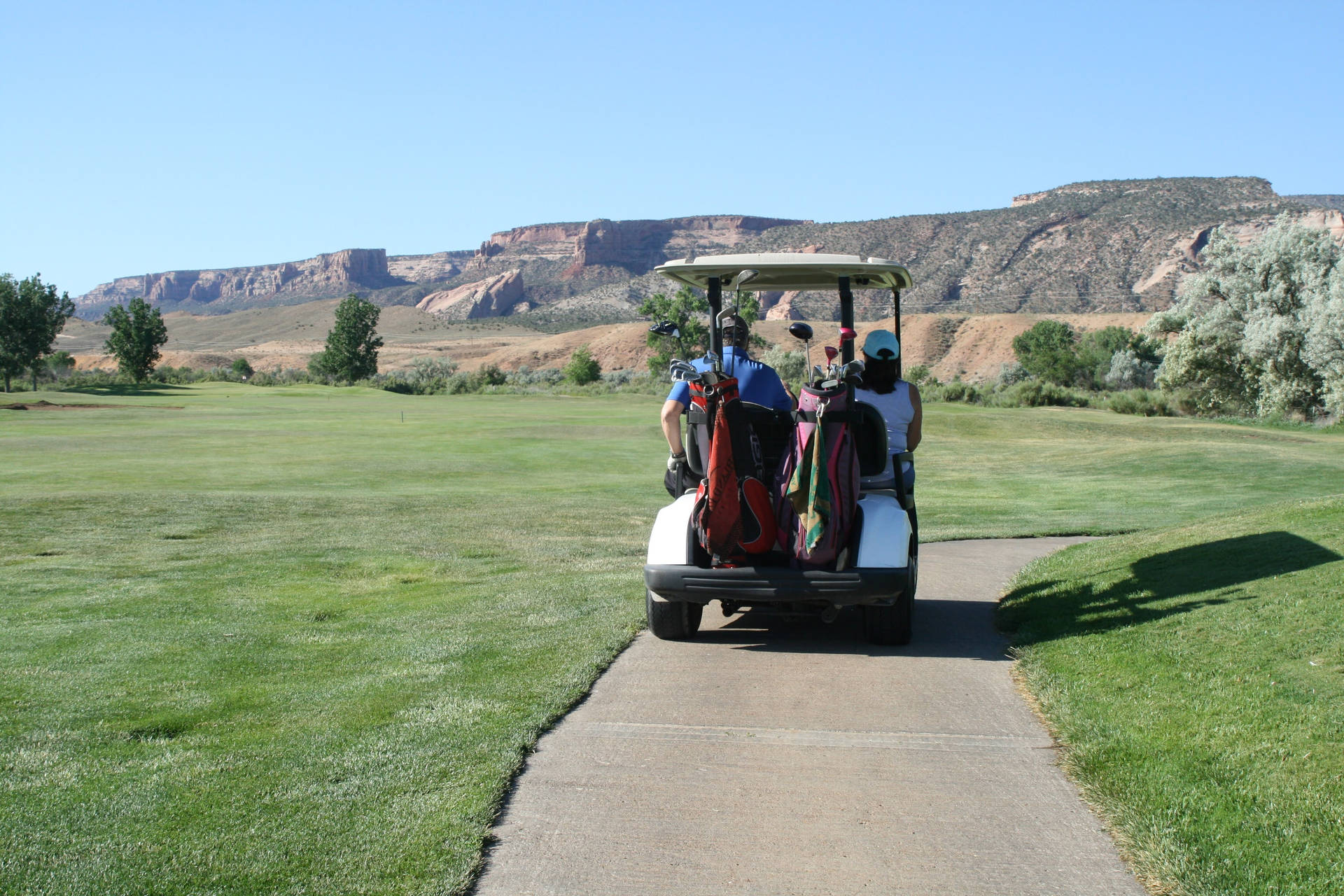 4k Family Riding Golf Cart Background