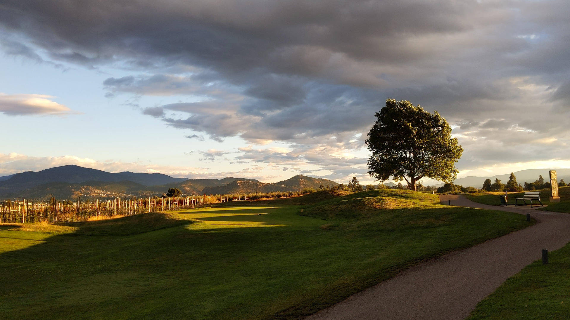 4k Golf Course With Walkway Background