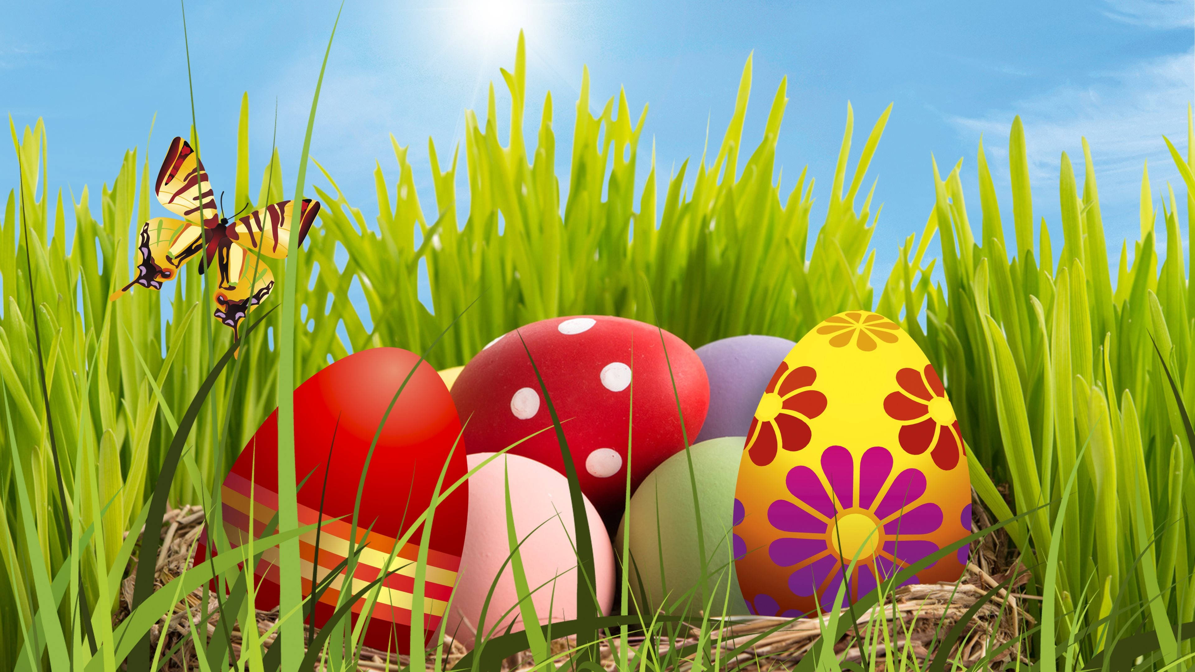 4k Green Grass With Easter Eggs Background