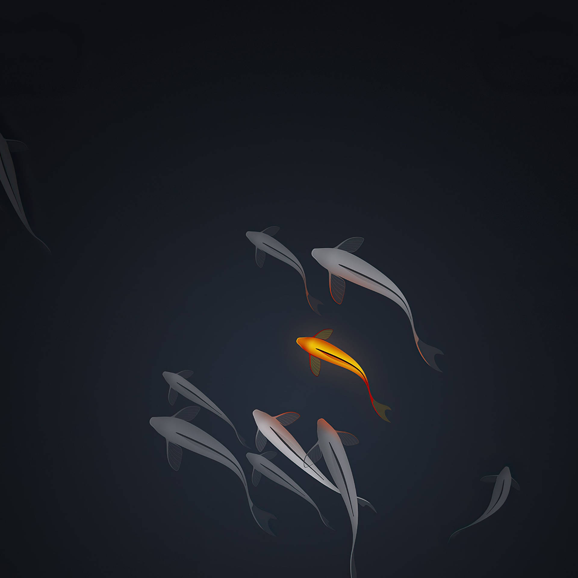 4k Ipad Koi Fish Background