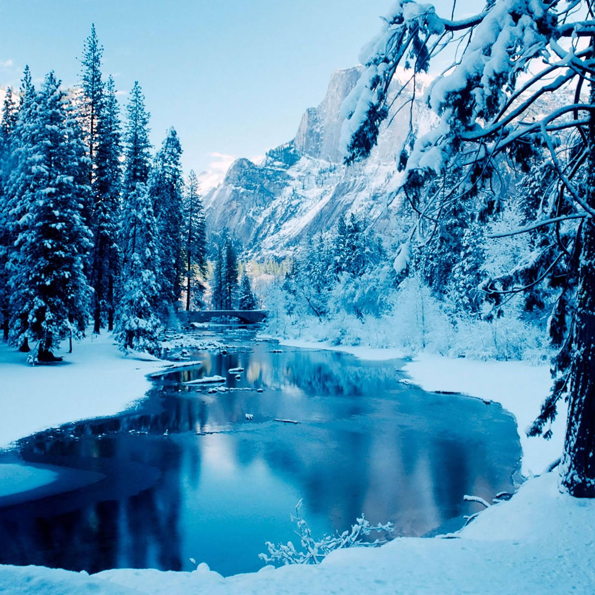 4k Ipad Winter Landscape Background