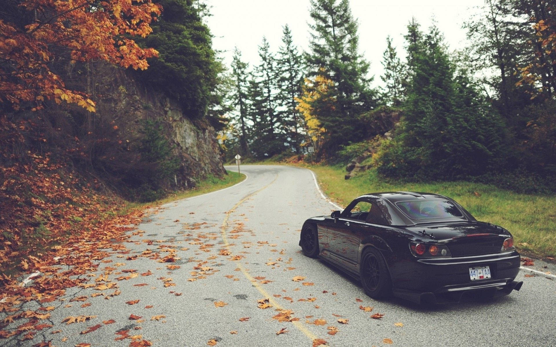 4k Jdm Honda S2000 With Autumn Leaves Background
