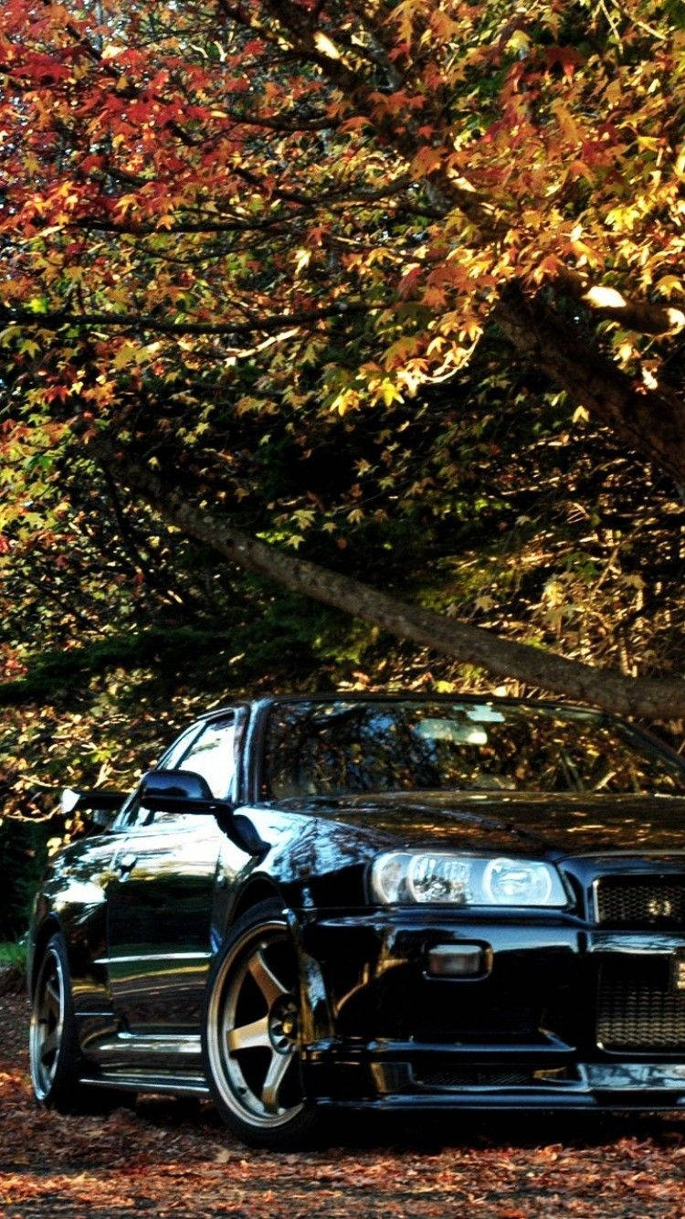 4k Jdm Nissan Skyline Under Autumn Tree Background