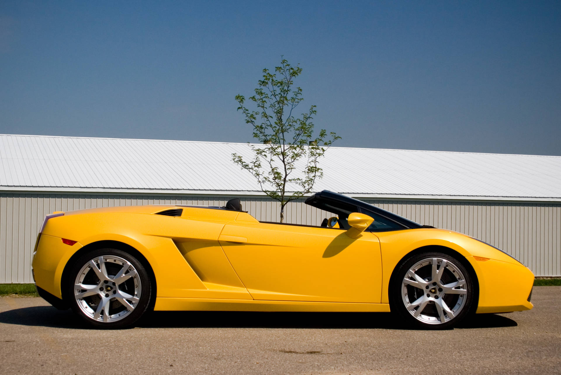 4k Lamborghini Gallardo In Yellow Paint
