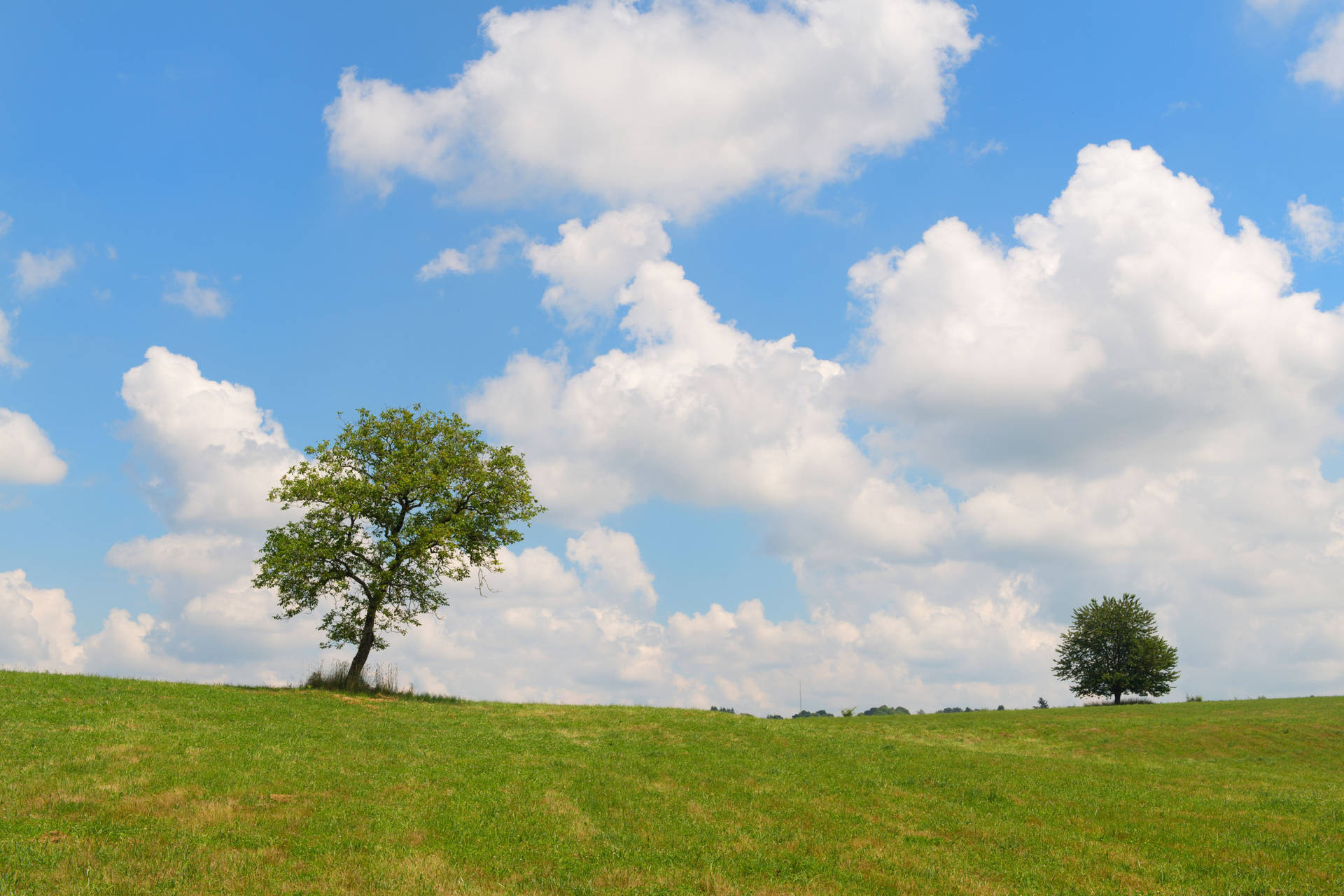 4k Landscape Field Sky Daytime Background