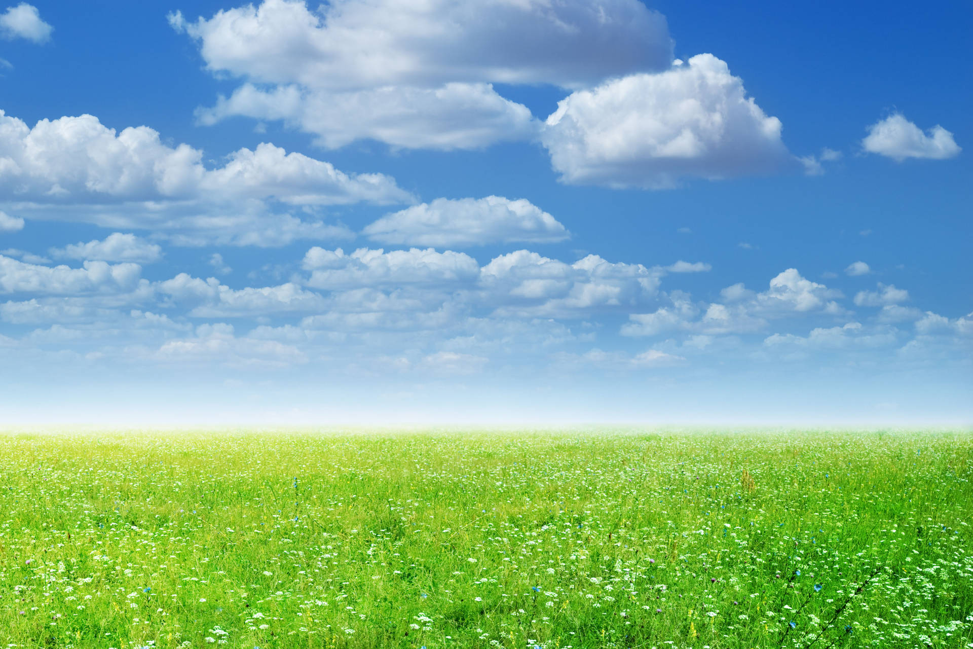 4k Landscape Green Field Clouds Background