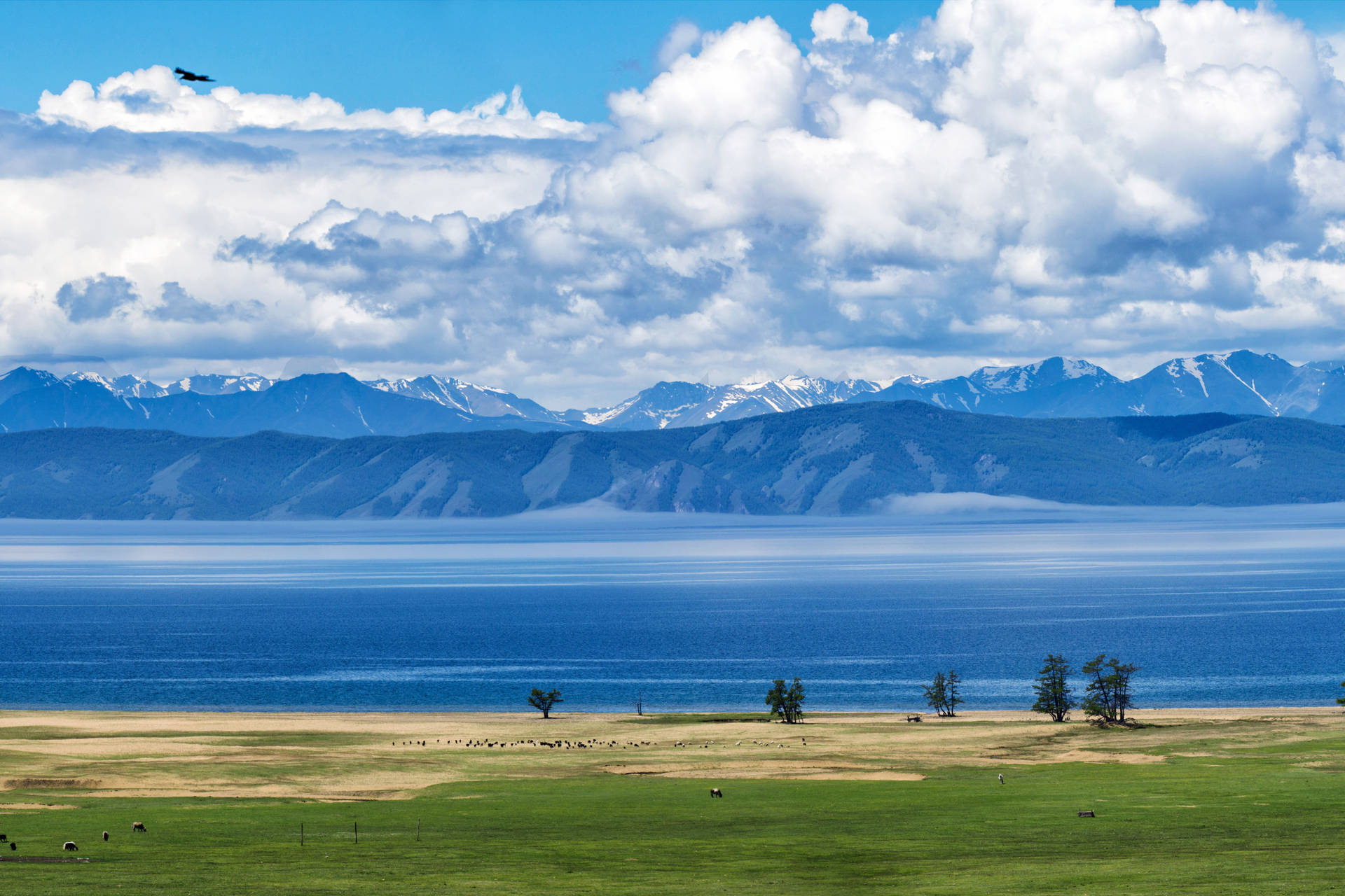 4k Landscape Khuvsgul Lake Mongolia Background