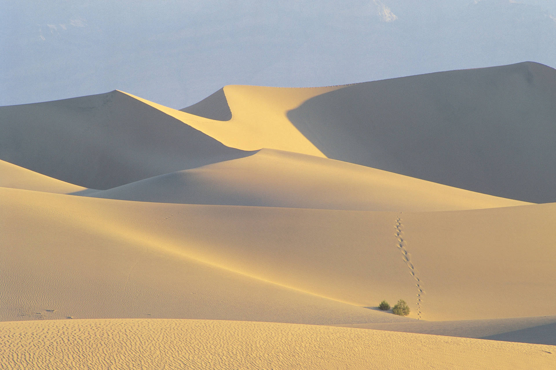 4k Landscape Sahara Desert