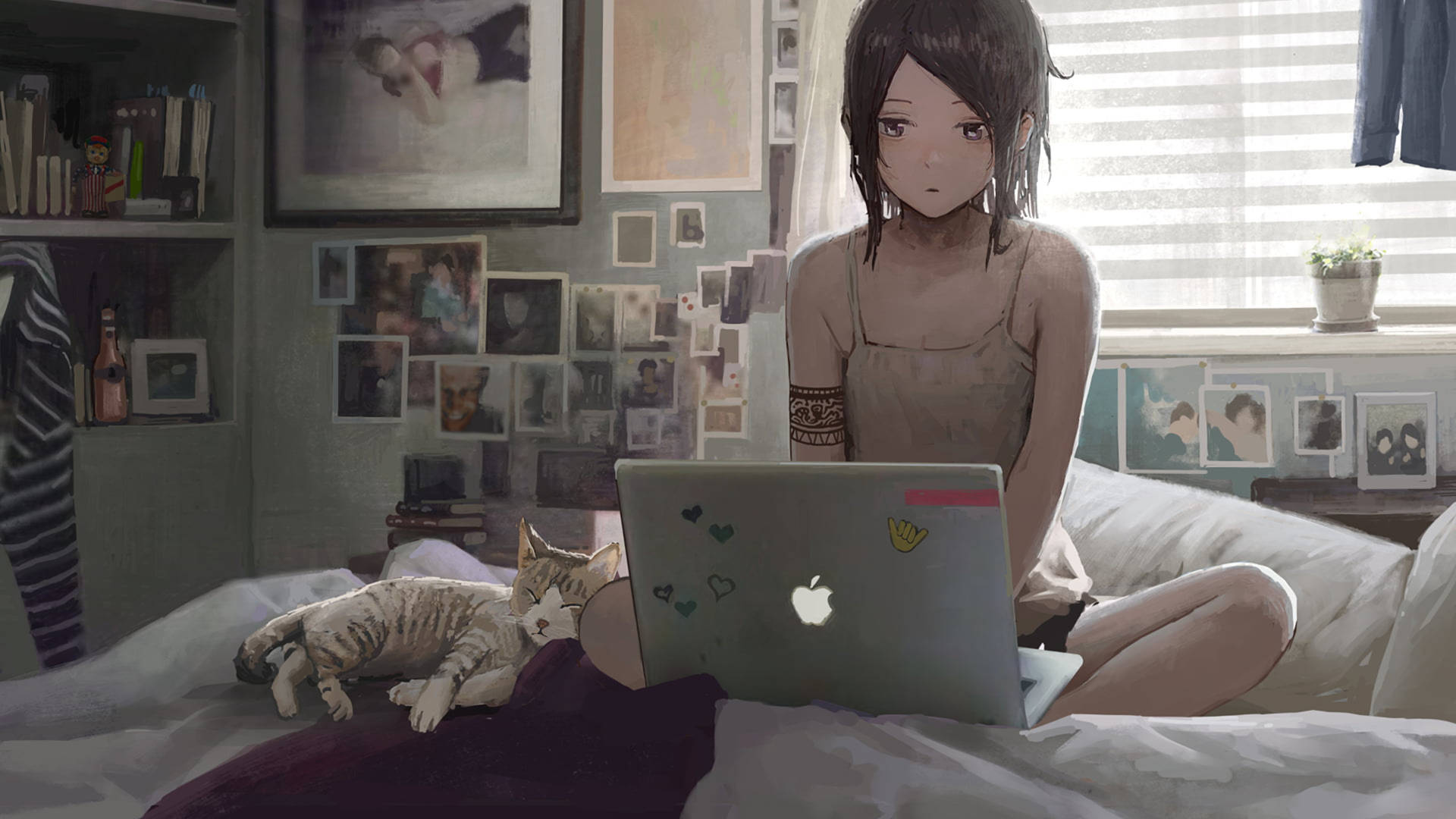 4k Laptop Anime Girl And Cat Background