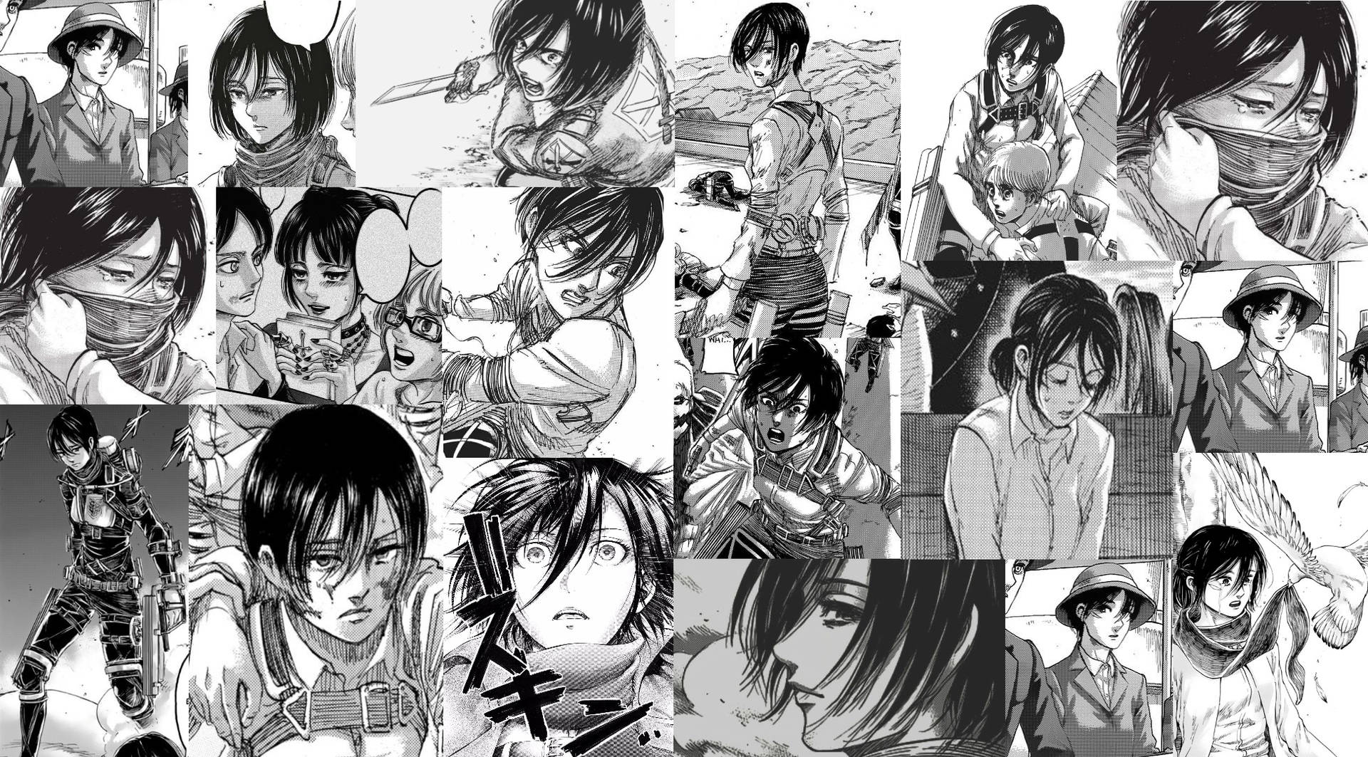 4k Manga Mikasa Ackerman