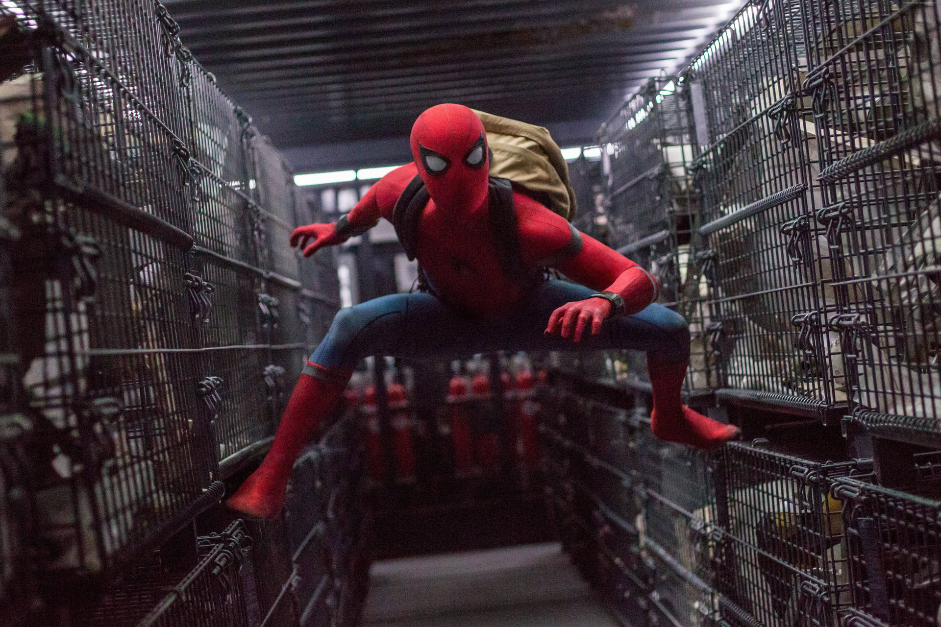 4k Marvel Spider Man