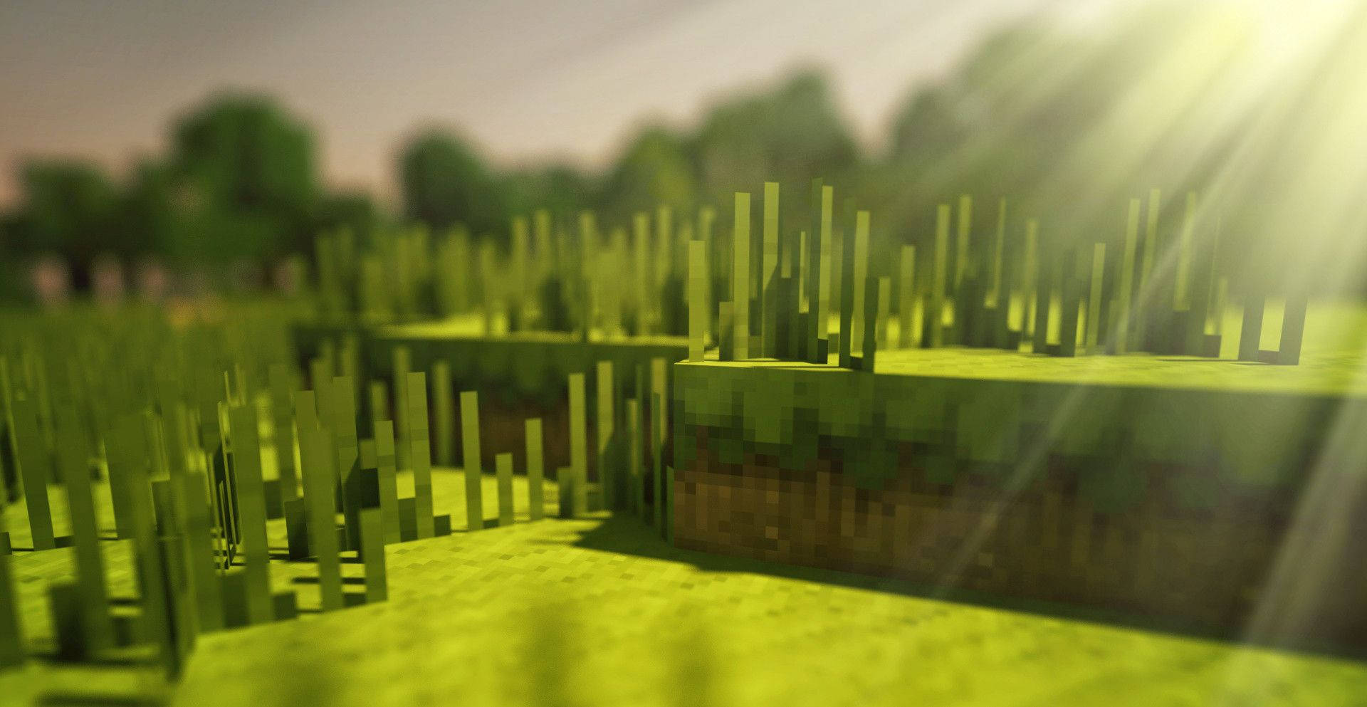 4k Minecraft Grass Background