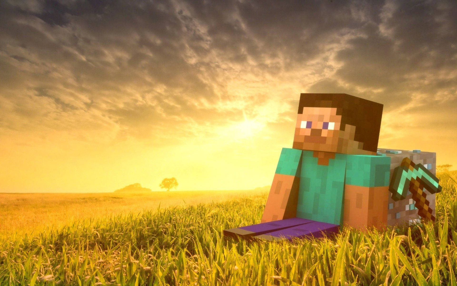 4k Minecraft Man In Grassfield Background