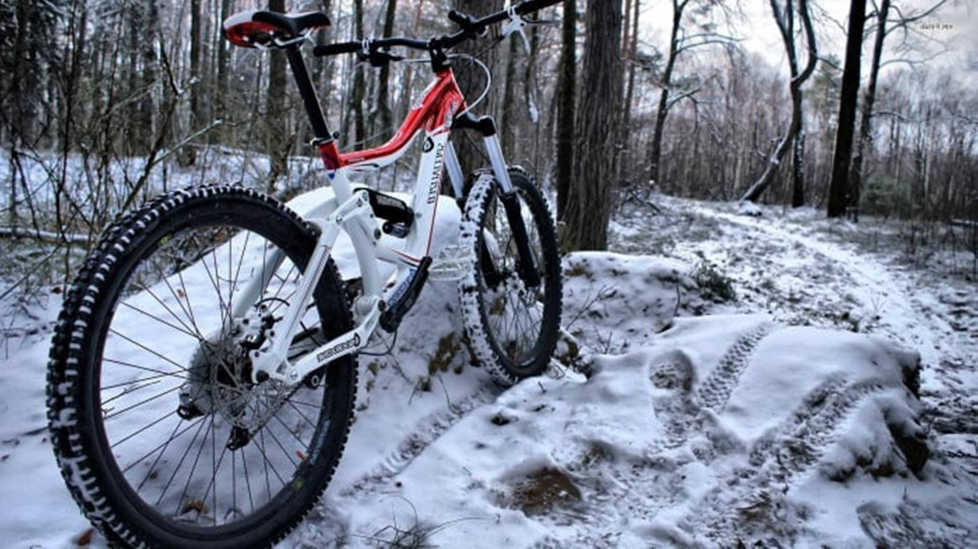 4k Mountain Bike On Snowy Forest Background