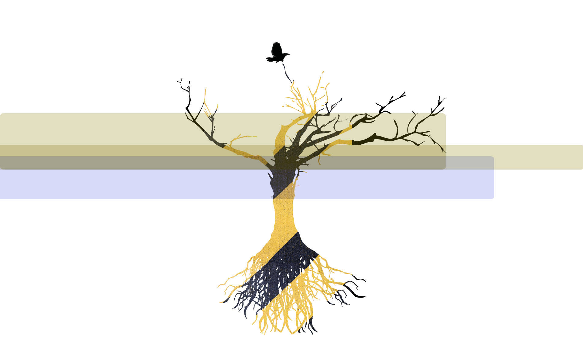 4k Nature Black And Yellow Tree Art Background