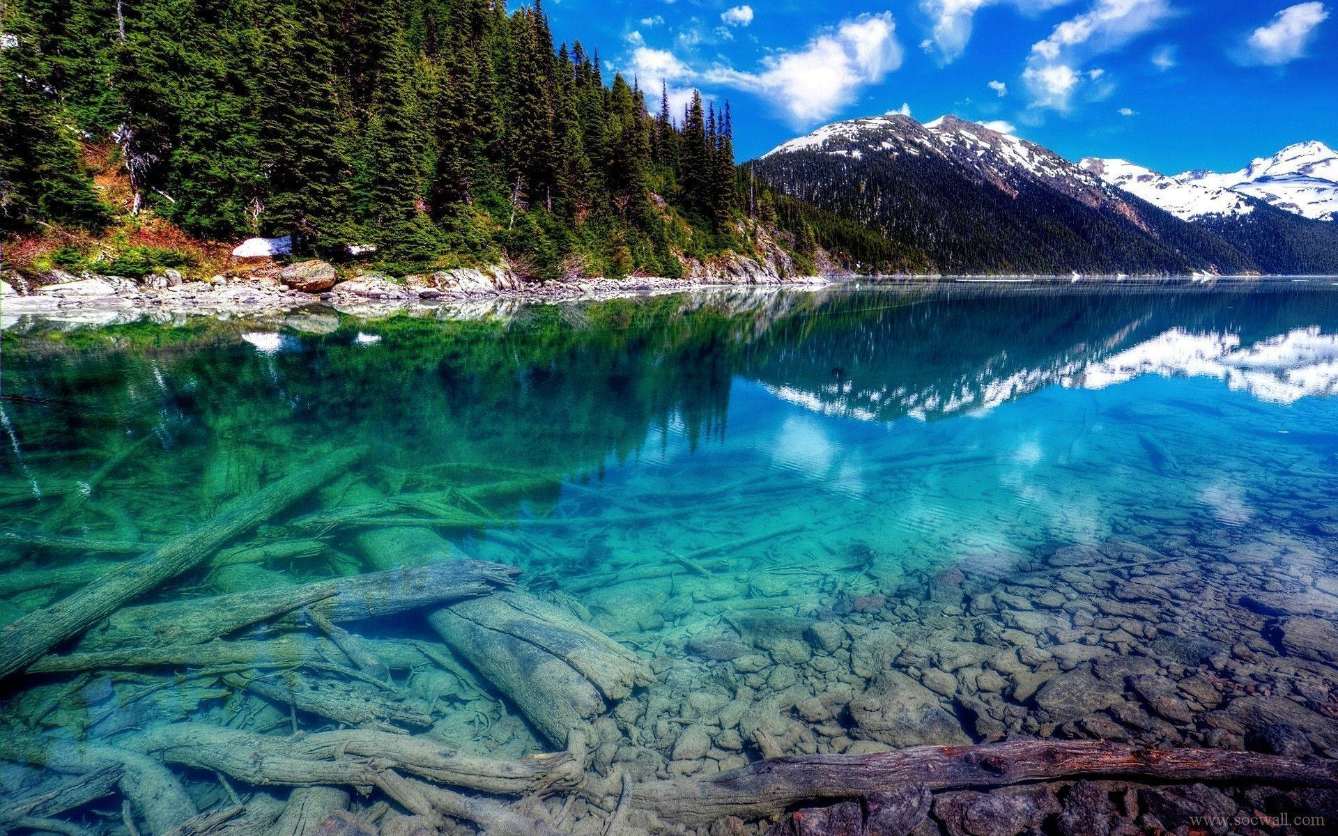 4k Nature Clear Waters Background