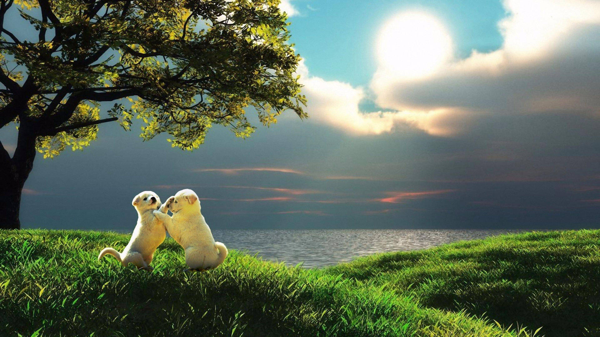 4k Nature Puppies Background