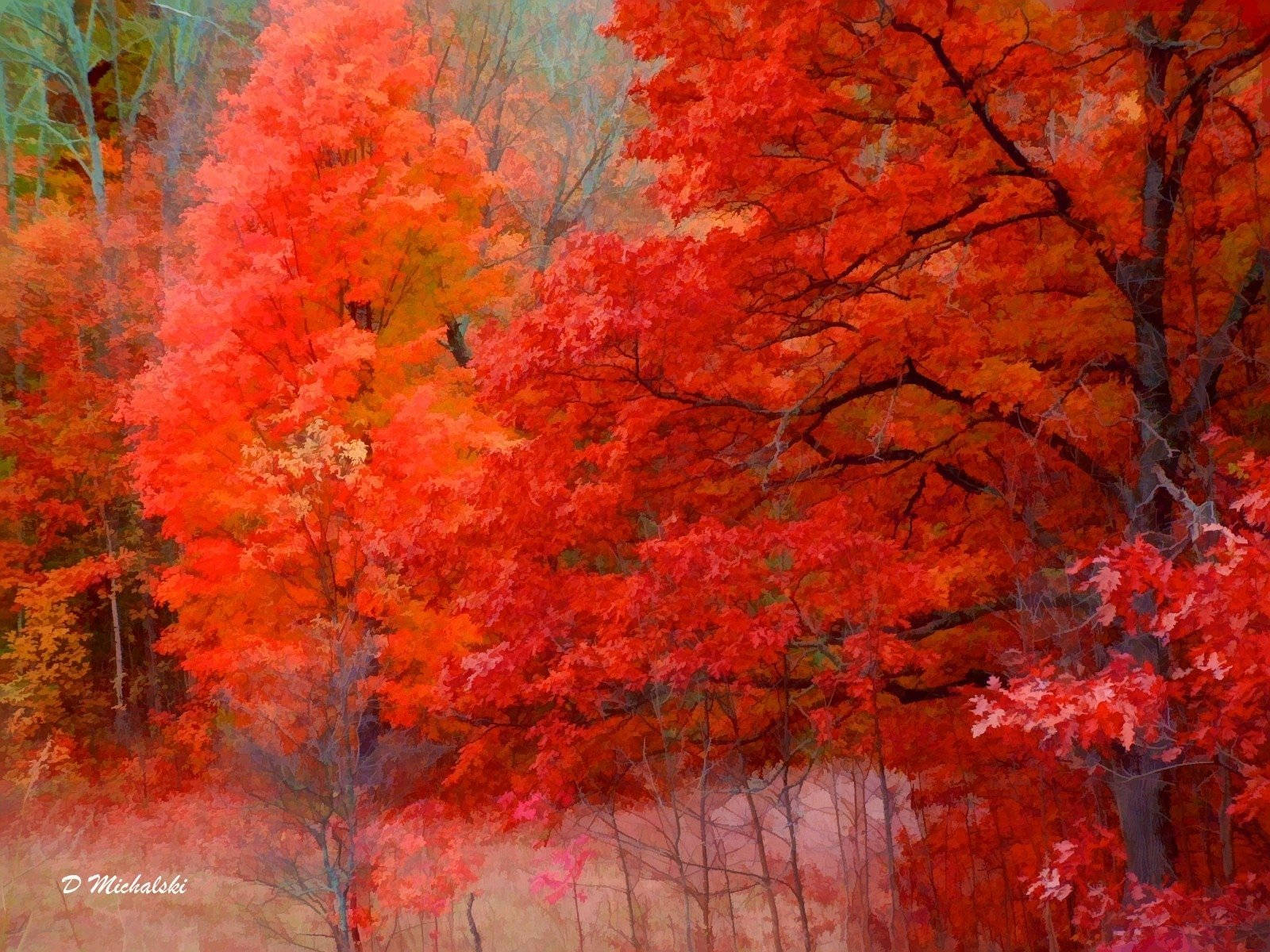 4k Nature Red Trees Background
