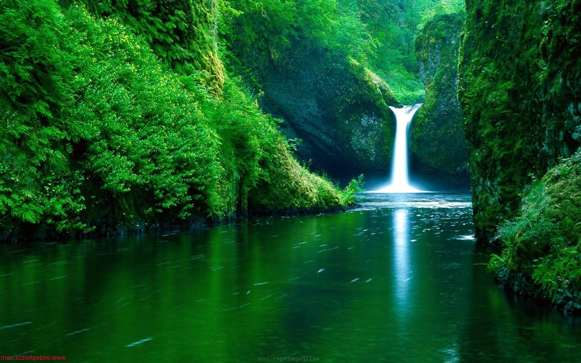 4k Nature Waterfall Background