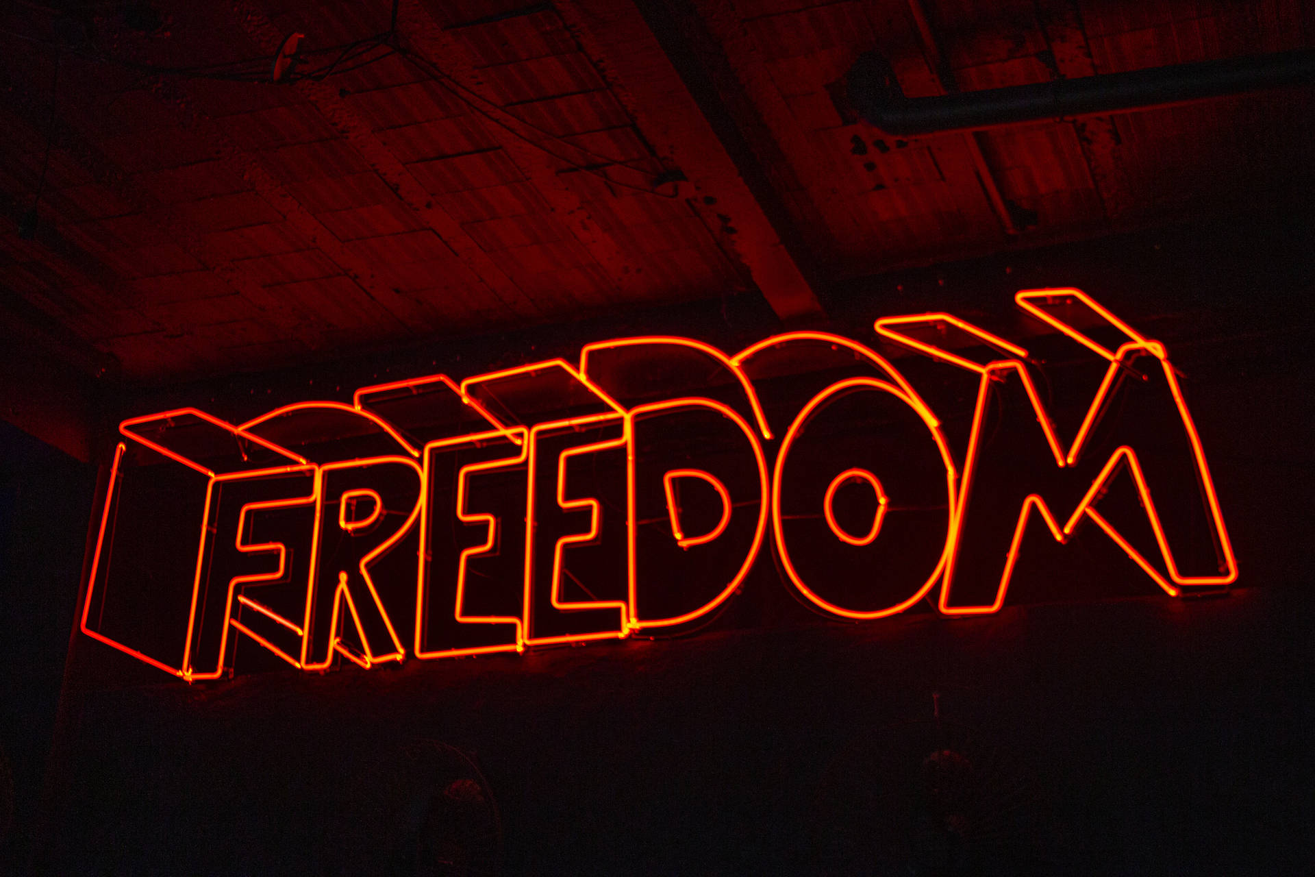 4k Neon Freedom Background