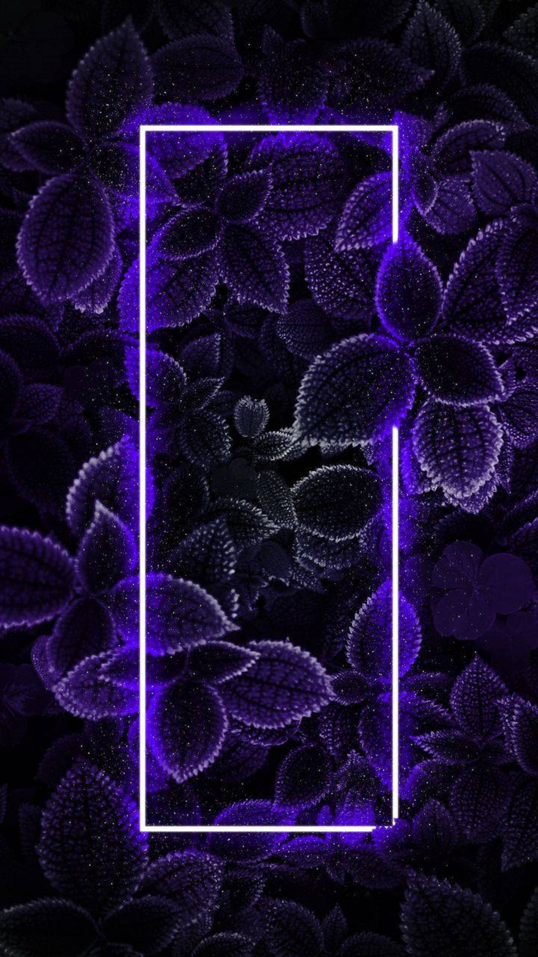 4k Neon Iphone Foliage Background