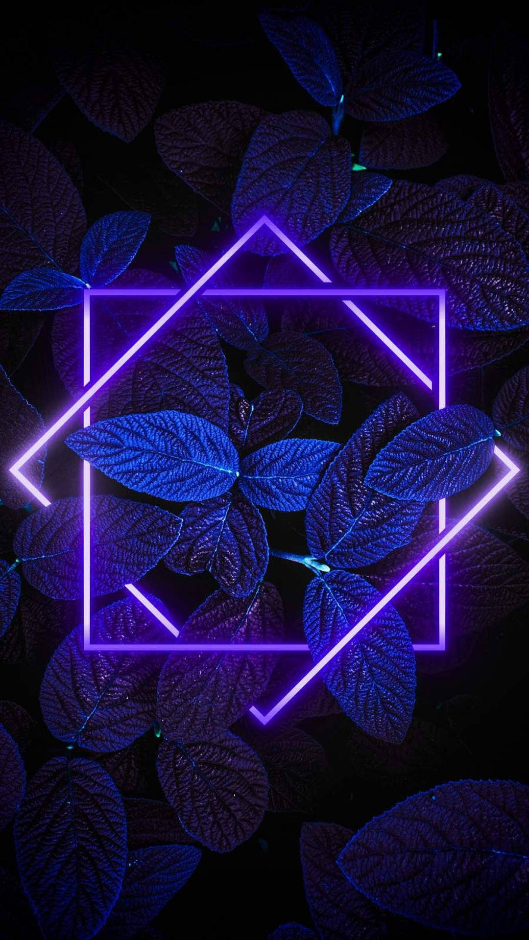 4k Neon Iphone Leaves With Lights Background