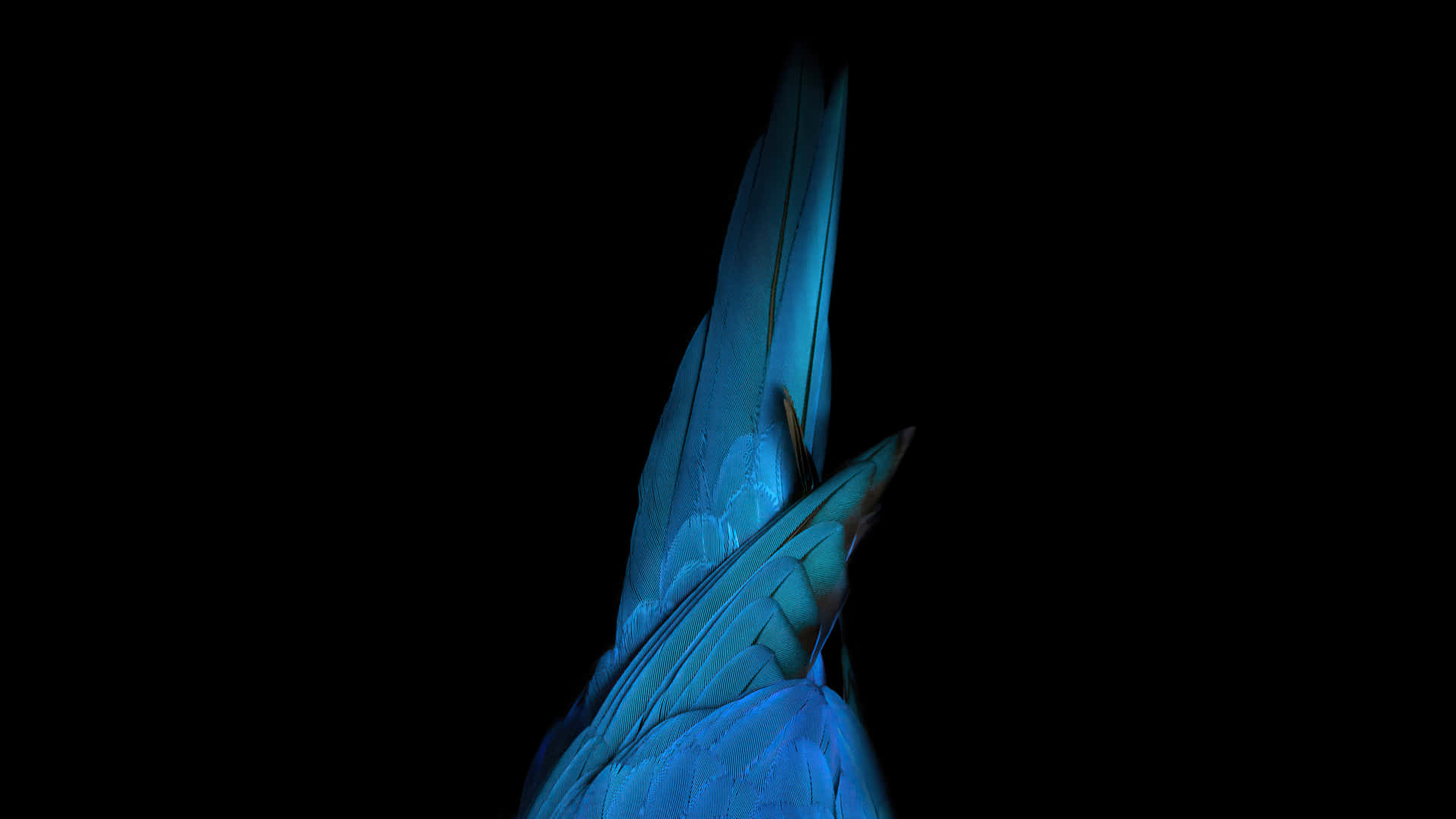 4k Oled 3840 X 2160 Wallpaper Background