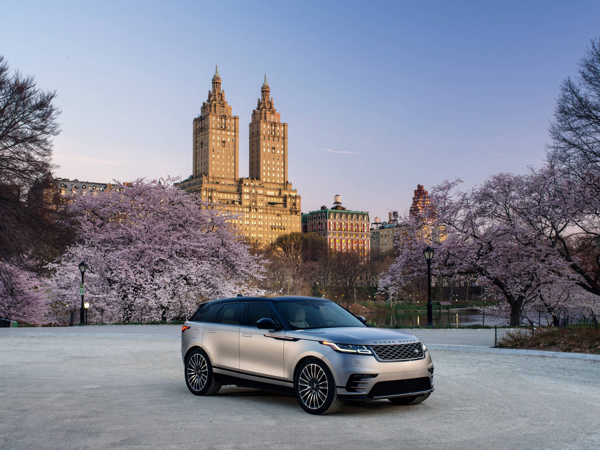 4k Range Rover Velar Trees Background