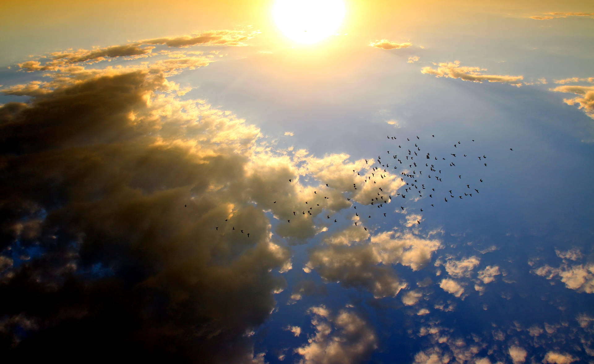 4k Sky Sunrise With Bird Flock Background