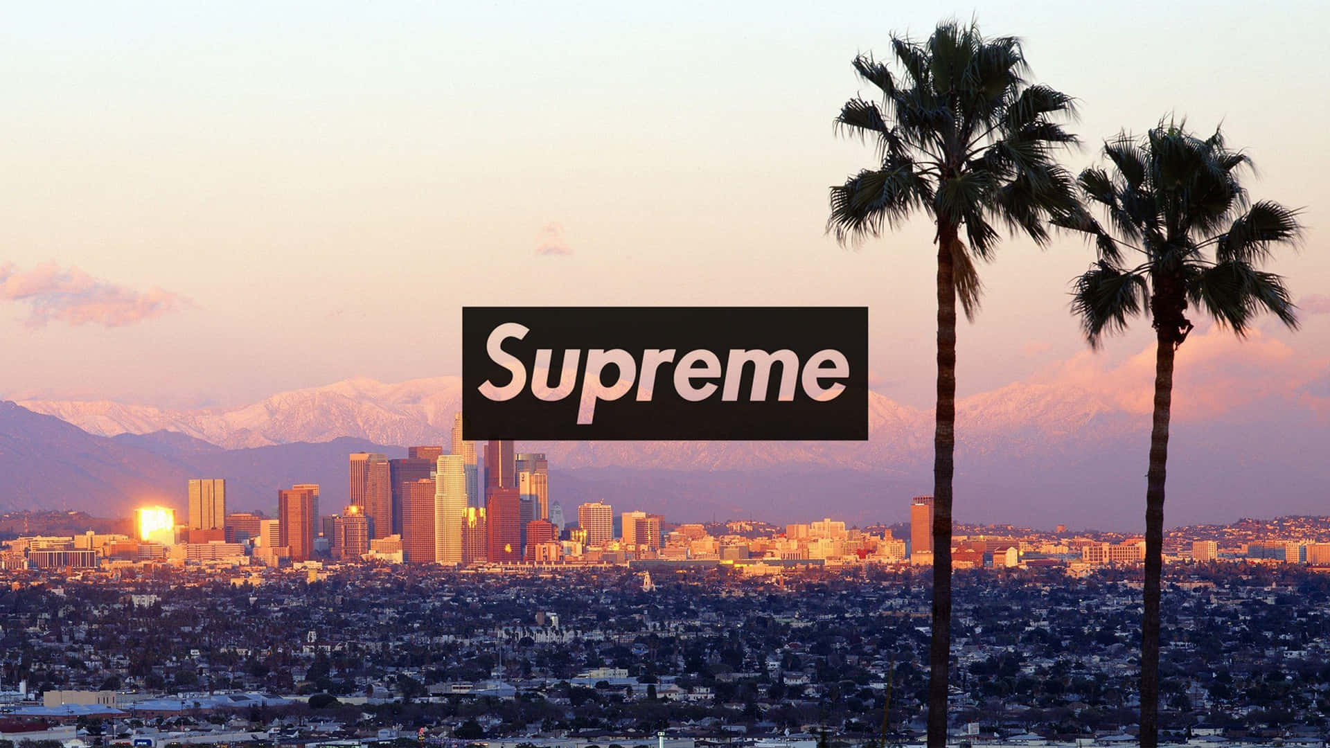 4k Supreme Sunset City And Palm Trees Background