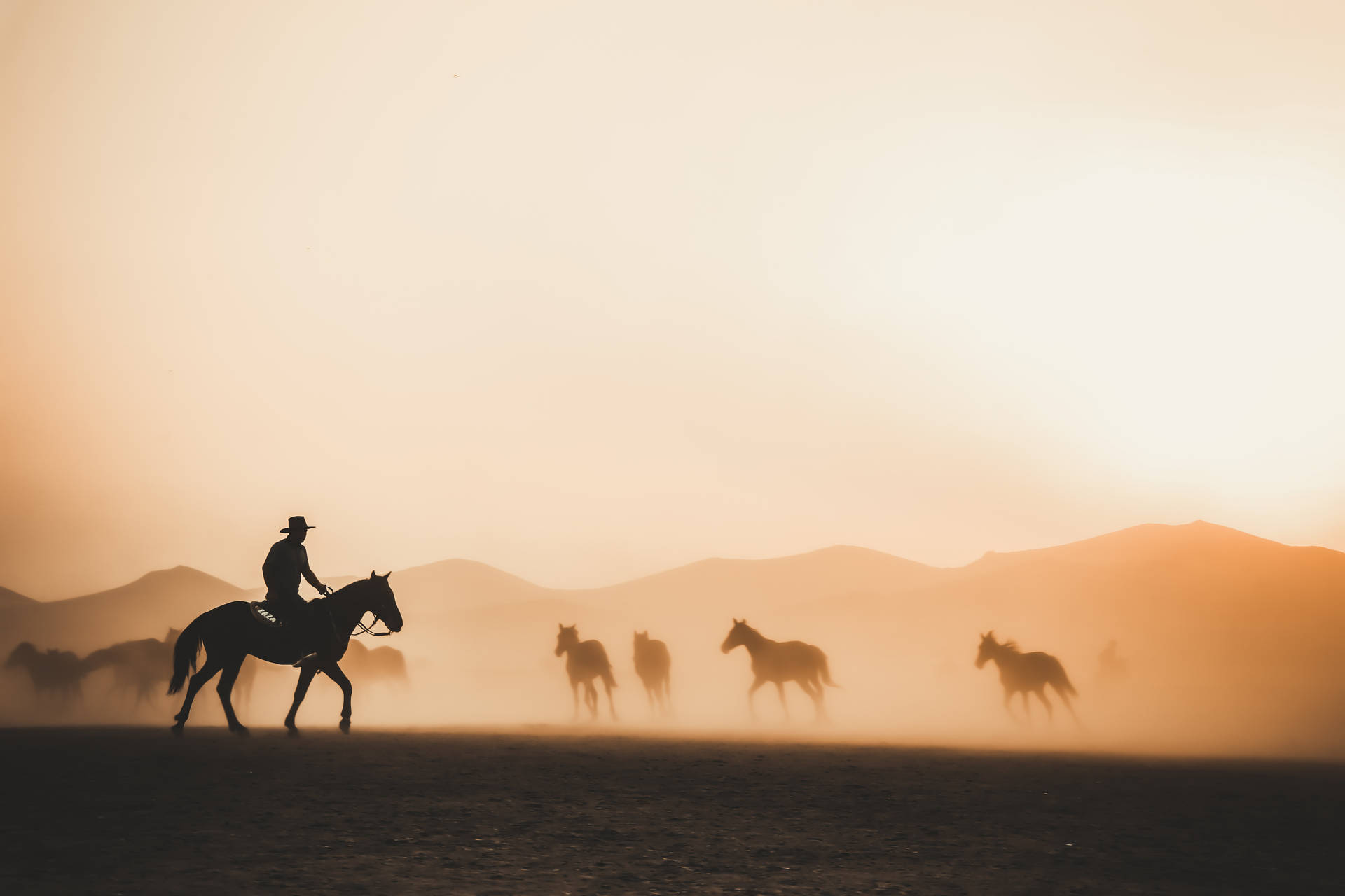 4k Tablet Cowboy Rounding Up Horses Background