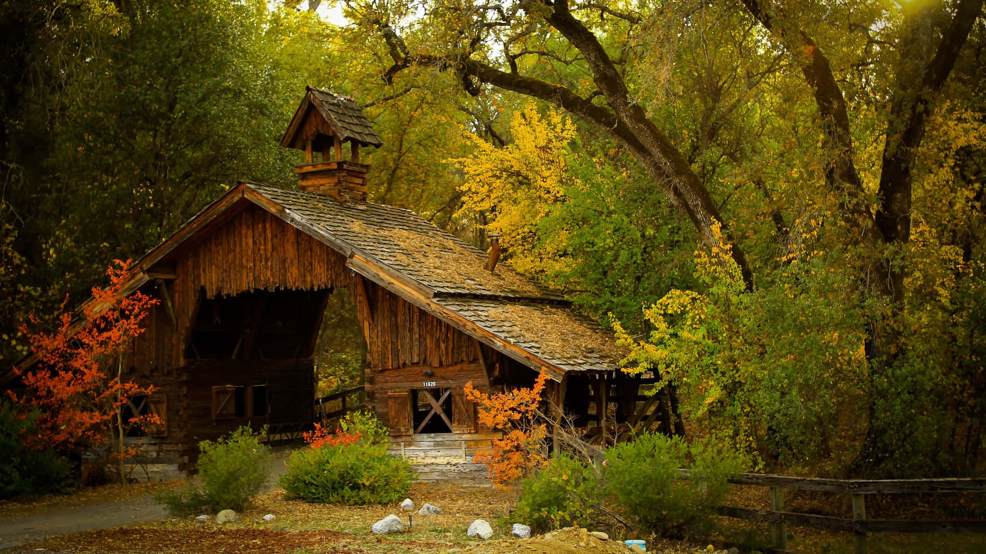 4k Uhd Small House Forest Background