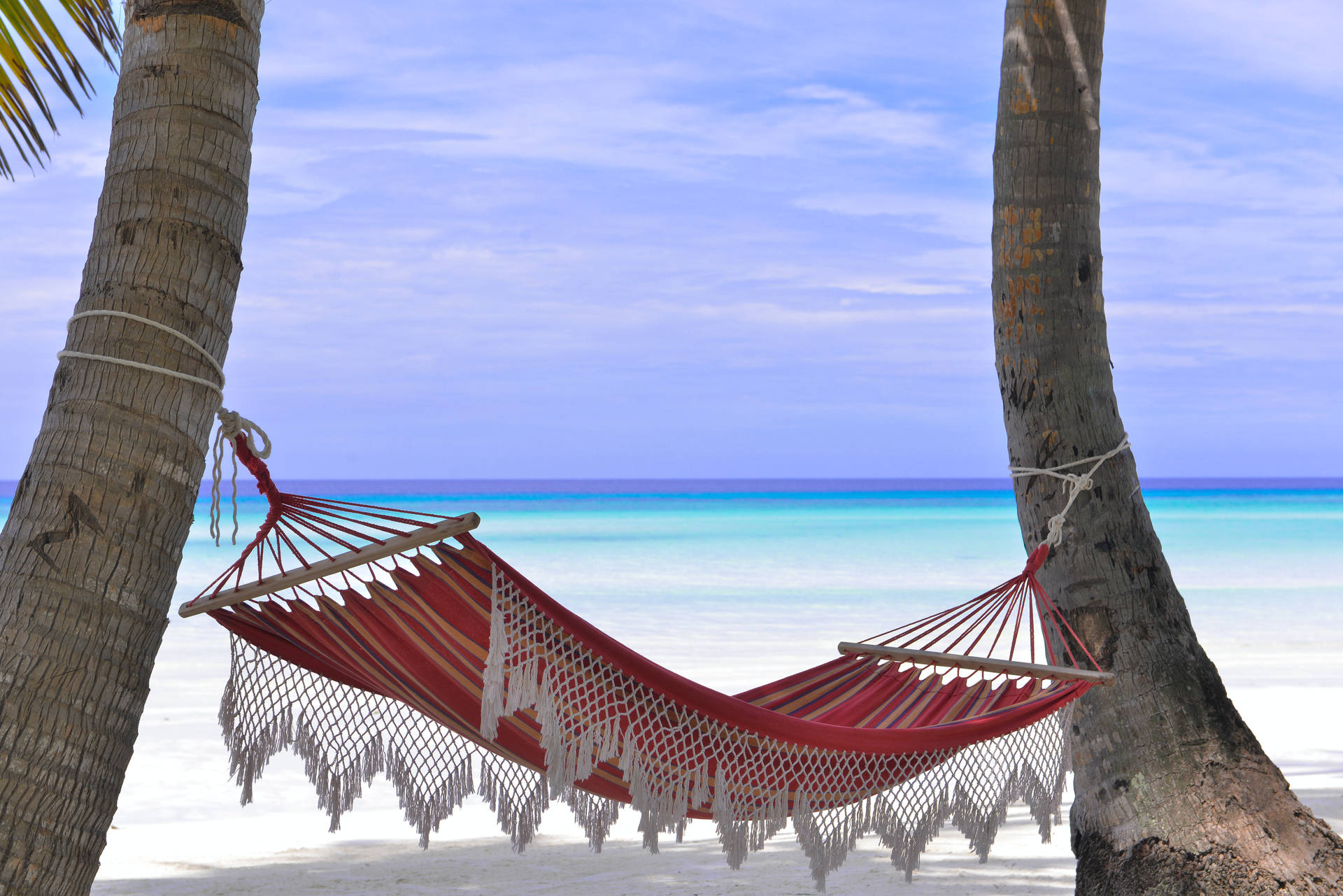 4k Ultra Hd Beach Hammock