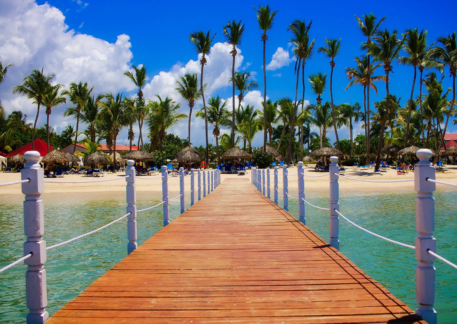 4k Ultra Hd Beach Walk Background