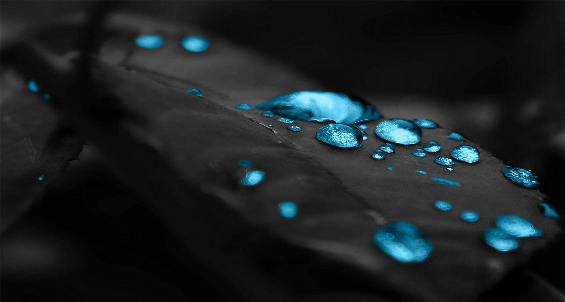 4k Ultra Hd Black Leaves Blue Drops Background