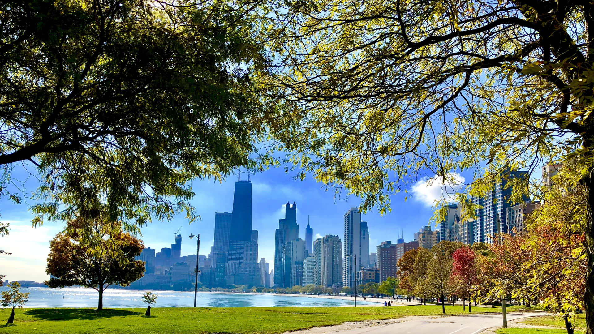 4k Ultra Hd Chicago City Nature Background