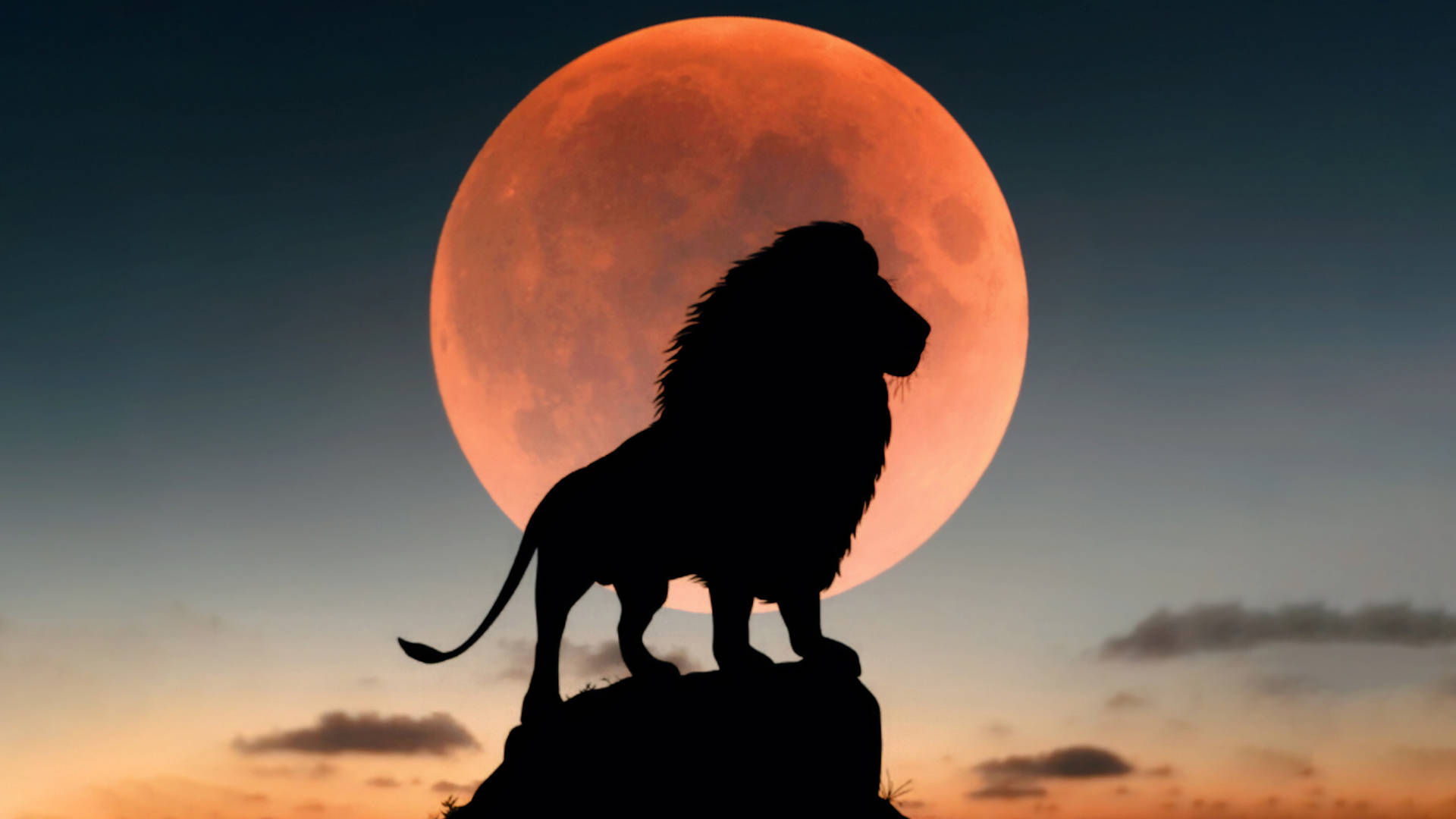 4k Ultra Hd Lions Red Full Moon Background