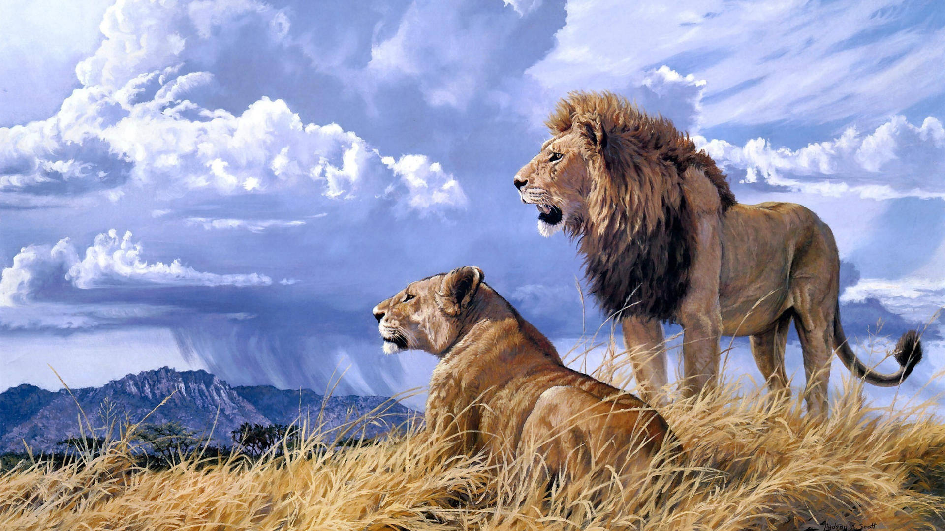 4k Ultra Hd Lions Serene Background