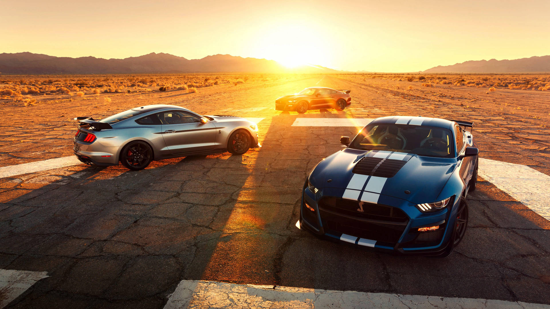 4k Ultra Hd Mustang Cars At Dusk Background